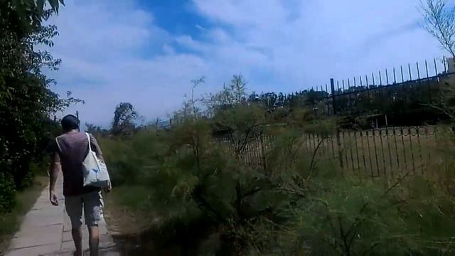 Заозёрное дорога к пляжу Дельфин июль 2019 смотреть онлайн