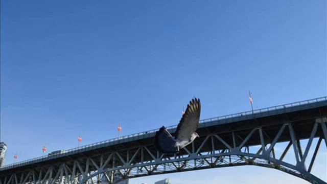 "Всё, что было!" Владимир ХлынинЪ (ANGELBLAZER) смотреть онлайн