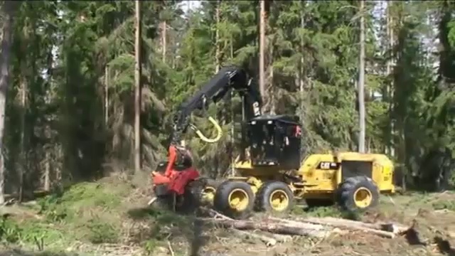 Так уничтожают леса смотреть онлайн