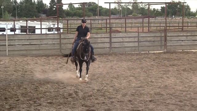 Zorro смотреть онлайн