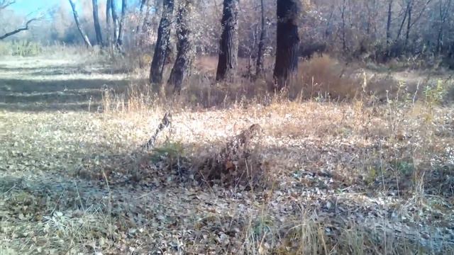 Осень на реке УРАЛ смотреть онлайн