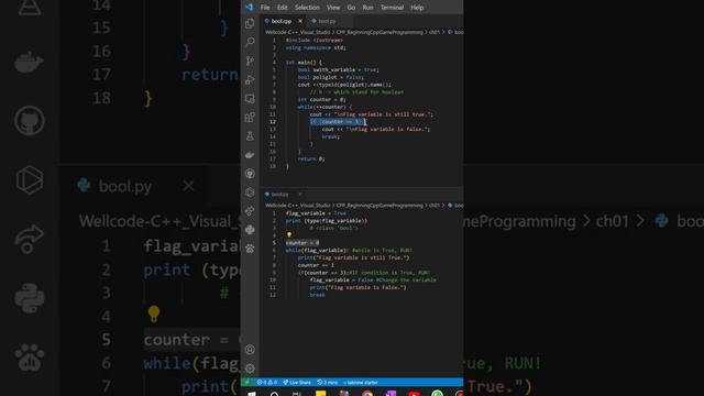 How did the bool type gets it's name? Bool in programming - Example #programming смотреть онлайн