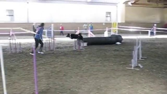 KD Obala in agility смотреть онлайн
