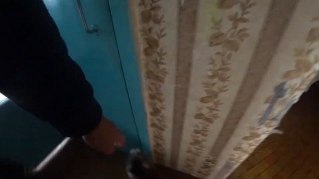 Кошка просит корм. Приколы. Маленький лев. Cat смотреть онлайн