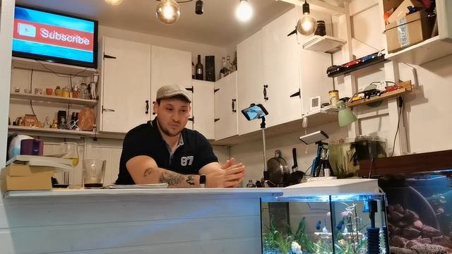 Илюминат ли съм ? За или против Tattoo - размисли смотреть онлайн