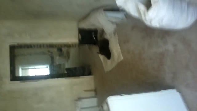 МОПС НА РАБОТЕ НЕ В АДЭКВАТЕ смотреть онлайн