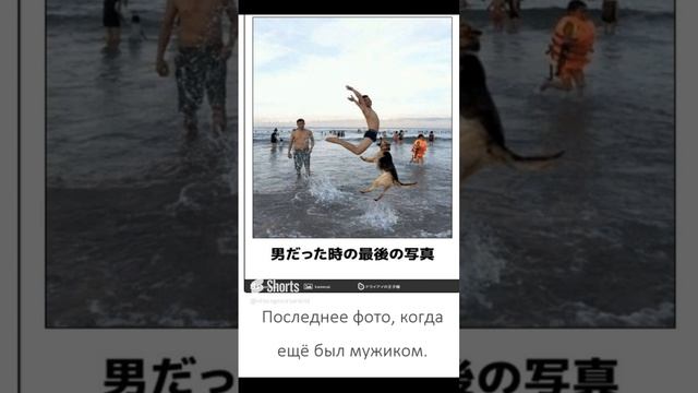 мемы на японском языке №11 (японский язык по мемам)