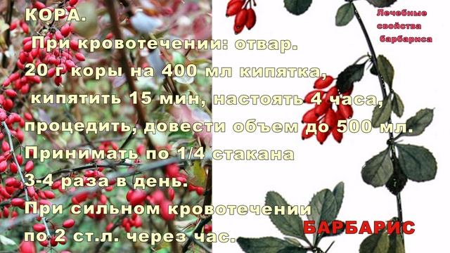 СтройМысли