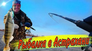 ЖОР СУДАКА ТОЛЬКО НАЧИНАЕТСЯ Рыбалка в Астрахани весной на спиннинг