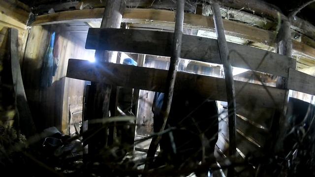 утреннее кормление быков смотреть онлайн