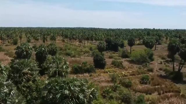 Pasikuda Beach Sri Lanka | Famous Beaches Sri Lanka | Attraction in Pasikuda | Travel Sri Lanka смотреть онлайн