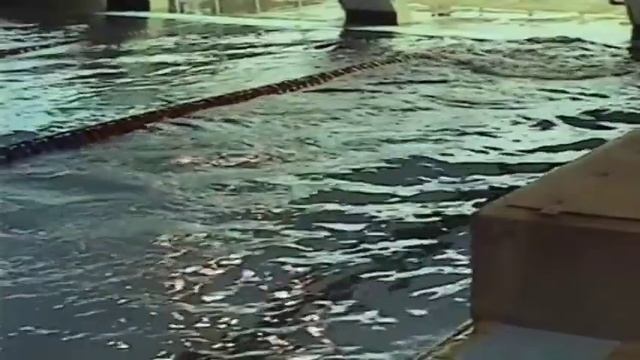 Perfect Breast Stroke Technique Drill Progression