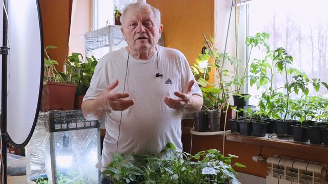 Почему надо спешить переходить из природного земледелия в биологическое современное земледелие смотреть онлайн