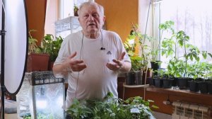 Почему надо спешить переходить из природного земледелия в биологическое современное земледелие