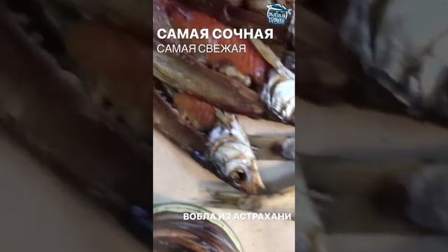 Самая вкусная Астраханская вяленая вобла только у нас! смотреть онлайн