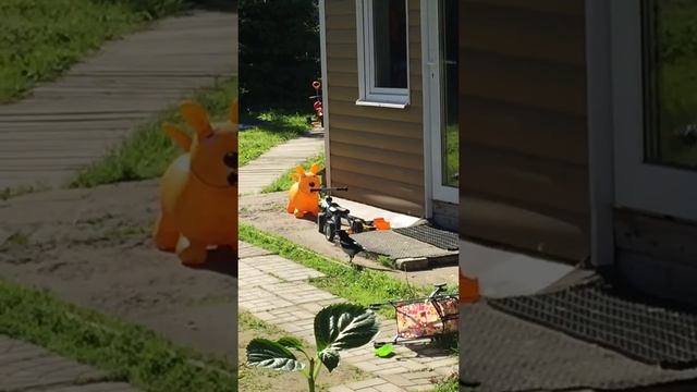 Голос сороки смотреть онлайн