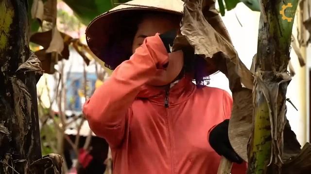 60 Busy Days Farm Expansion And Harvest - Harvest Money Reserve - Going to Upland Market To Sell смотреть онлайн