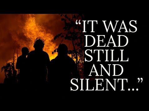 WILDLAND FIREFIGHTERS ENCOUNTER AGRESSIVE BIGFOOT