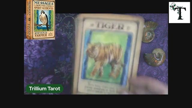 Messages from Your Animal Spirit Guides Oracle смотреть онлайн