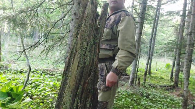 Сбор папоротника. смотреть онлайн