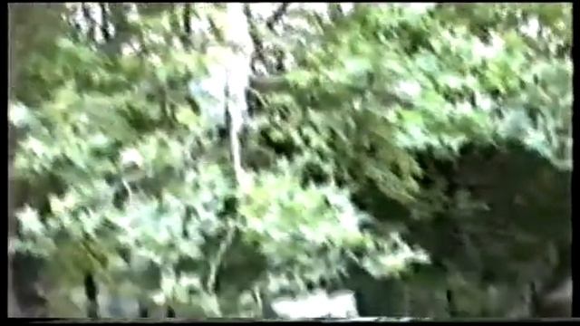 Песня на стихи поэта Анастасии Вольной смотреть онлайн