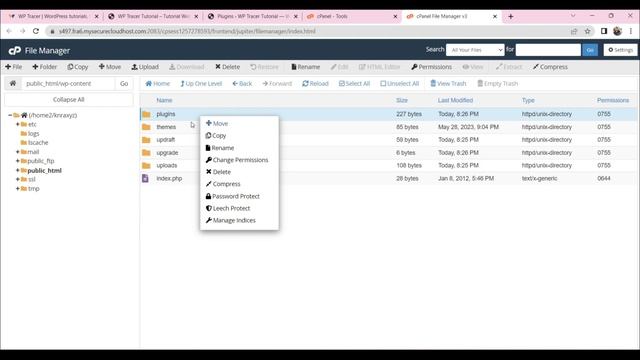 How to deactivate WordPress plugins from cPanel, FTP смотреть онлайн