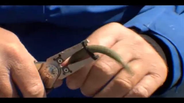 How to wacky rig a stick bait using an alternative method! смотреть онлайн