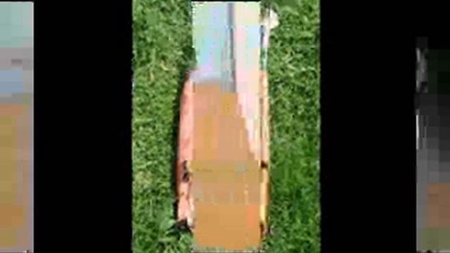 ONLY NATURAL PET ECOTOYS DOG TOYS смотреть онлайн