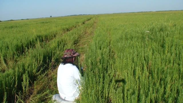 Охота и рыбалка на Судака и Перепела? смотреть онлайн