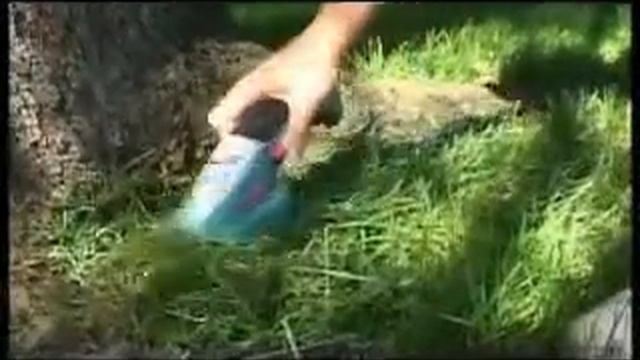 Isio смотреть онлайн