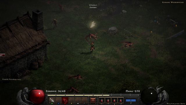 Diablo II: Resurrected PL | Xbox Series X | BETA | 01 смотреть онлайн