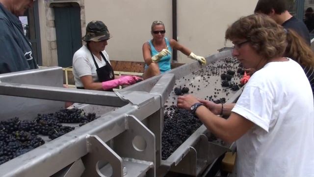 Domaine Gros frere et Soeur harvest 2011.MTS смотреть онлайн
