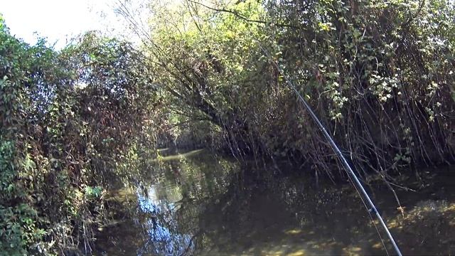 Pesca al cavedano con Duo Yurapen / FIshing for chubs in Italy with Duo Tetra Works Yurapen смотреть онлайн
