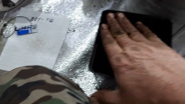 Высаживаем семена скрещенной ежемалины Тейберри с ремонтантной малиной. смотреть онлайн