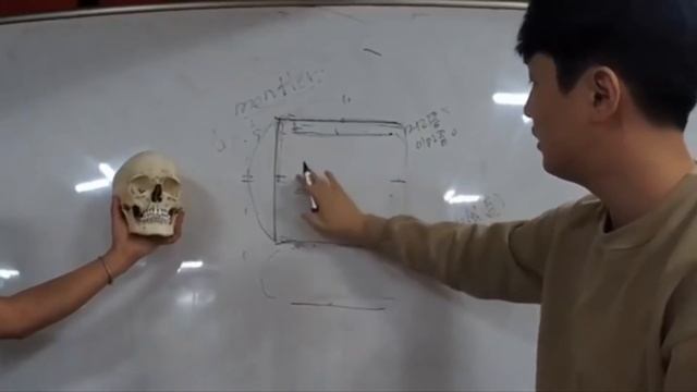 Lecture of anatomy and perspective Kim Jung Gi and Insang Hwang смотреть онлайн