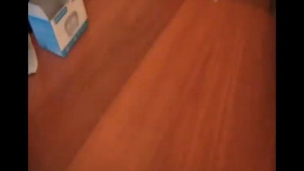 Портативная Колонка Prolife