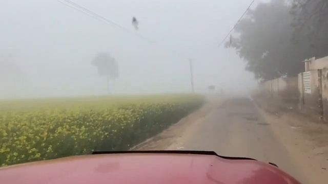 MAHINDRA THAR DIESEL ECONOMY II 2020 THAR OWNER’S REVIEW AND MILEAGE TEST