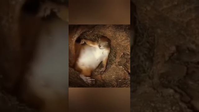 Песня для друзей 🤝 смотреть онлайн