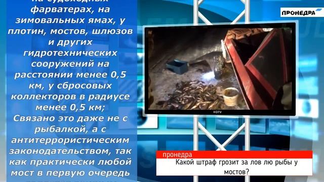 Какой штраф за ловлю рыбы у мостов? смотреть онлайн