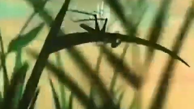 Я Вас лю смотреть онлайн