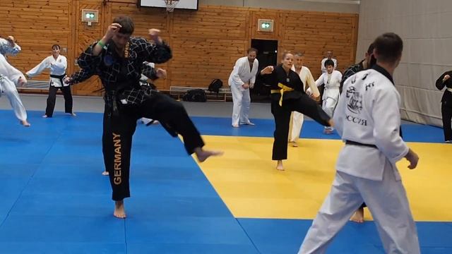 Dmitry Lozhenskiy Seminar in Austria/Семинар Хапкидо в Австрии смотреть онлайн