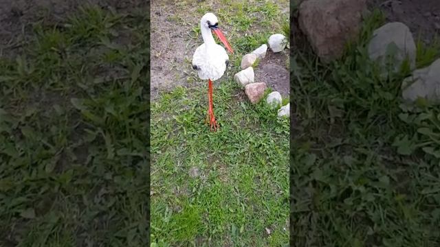 Дачная красота #shorts смотреть онлайн