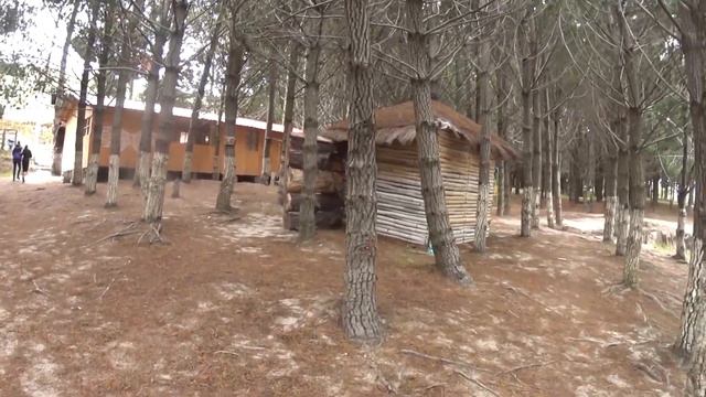 В апреле по грибы!!! смотреть онлайн