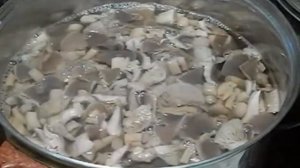 Как правильно готовить ЛЕСНЫЕ ГРИБЫ