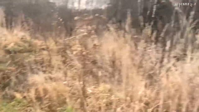 Волшебная глина для печи. Запасаем материал для кладки банной печки / Деревня 2.0 смотреть онлайн