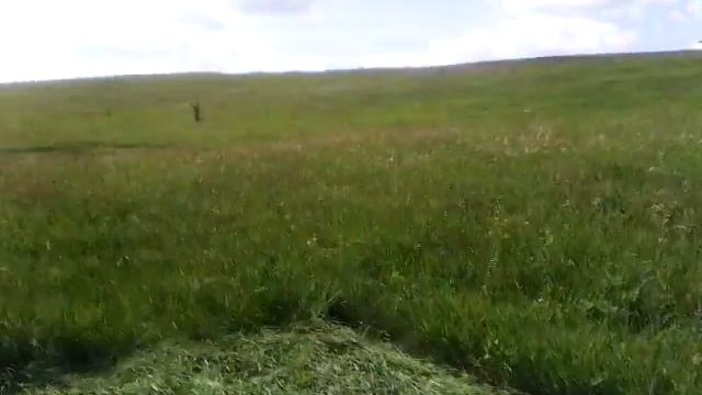 Мтз 82 с косилкой смотреть онлайн