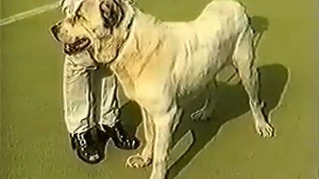 АЗИАТ 2000, Часть 2-я