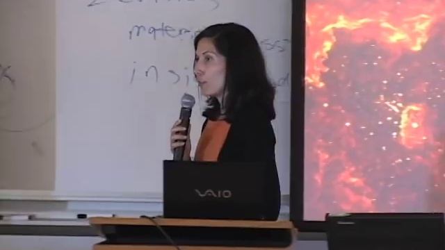 Discussion | Jack Gallant on fMRI-enabled mind-reading смотреть онлайн