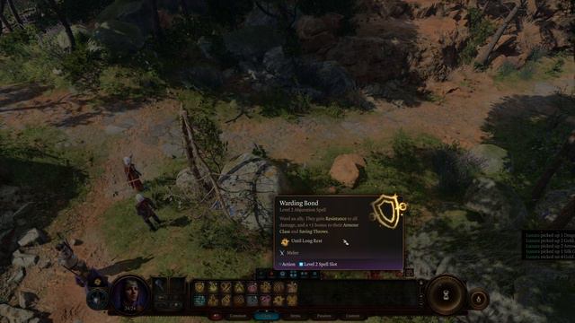 Baldur's Gate 3 - Gameplay Walkthrough Part 4 - Investigating the Grove [Tactician] смотреть онлайн