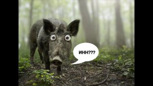 ИНН вводит мошенников в ступор